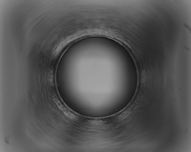 X0000101981499200807181113