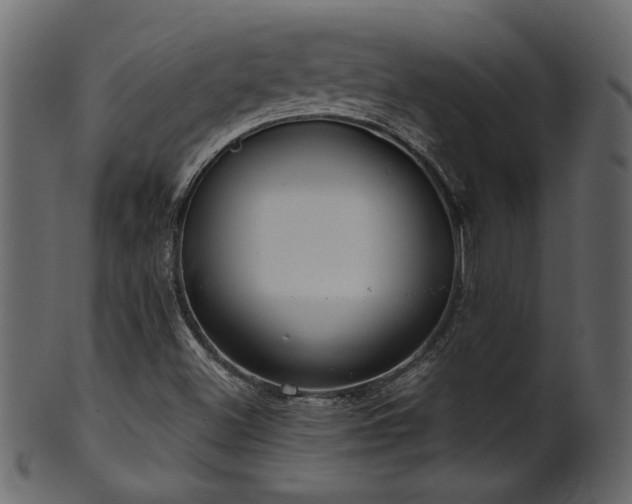 X0000101981500200807181113