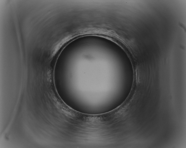 X0000101981501200807181113