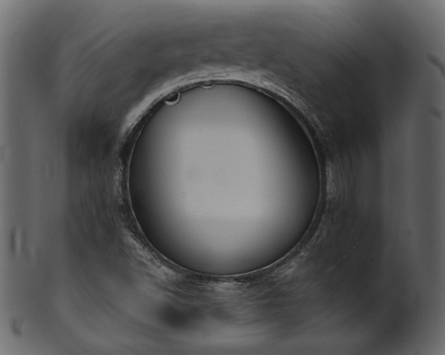 X0000101981502200807181113