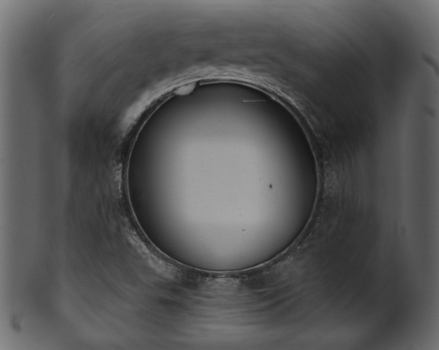 X0000101981503200807181113