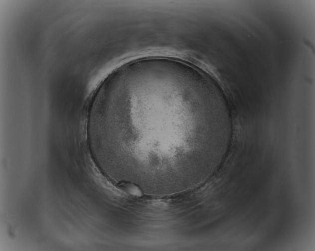 X0000101981504200807181113