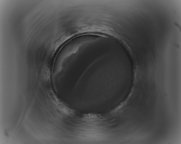 X0000101981505200807181113