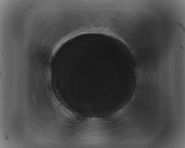 X0000101981506200807181113