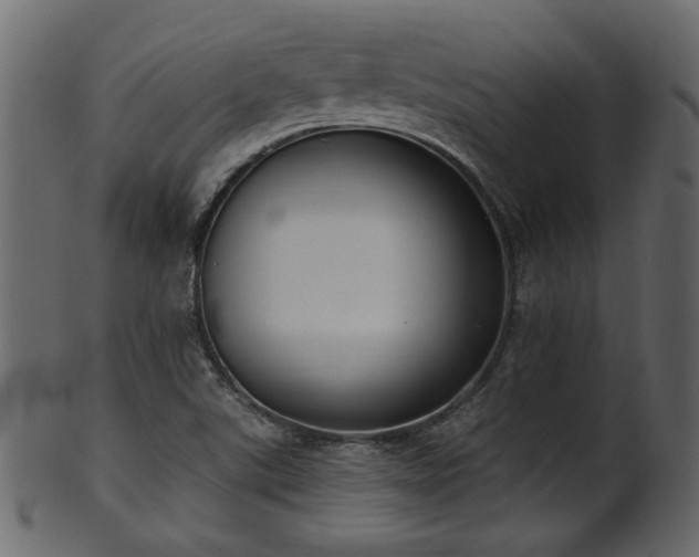 X0000101981507200807181113