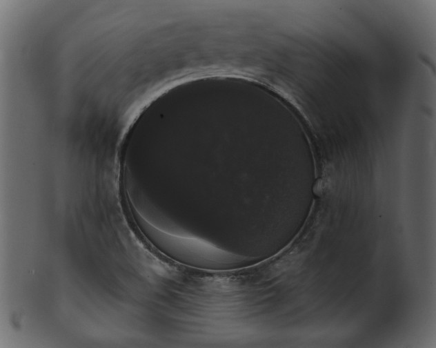 X0000101981508200807181113