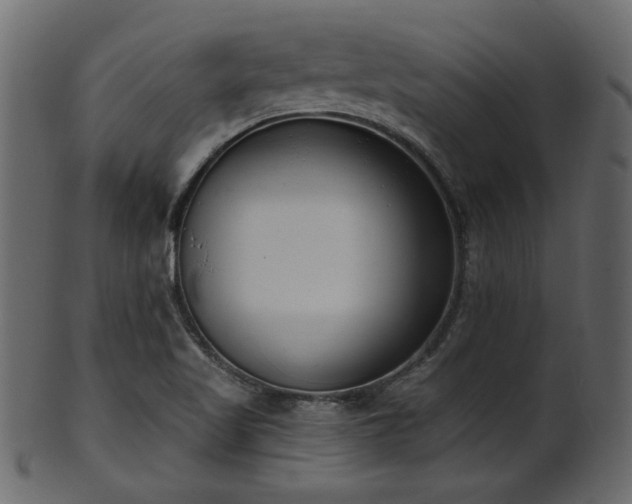 X0000101981509200807181113