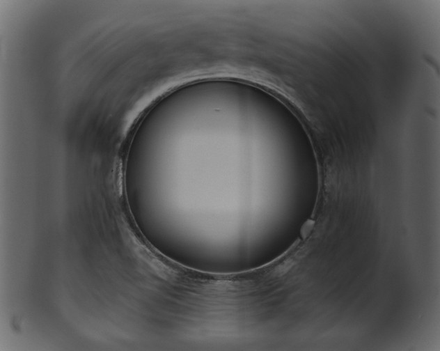 X0000101981510200807181113