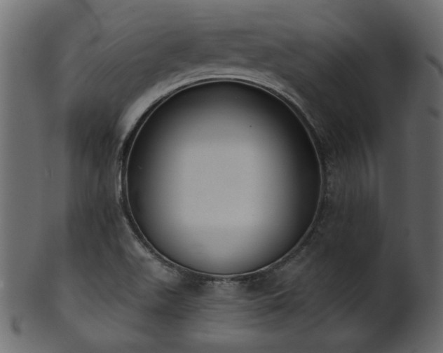 X0000101981511200807181113