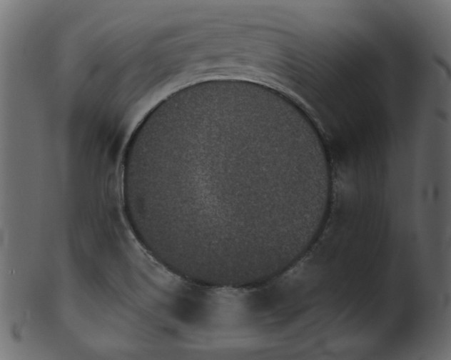 X0000101981514200807181113