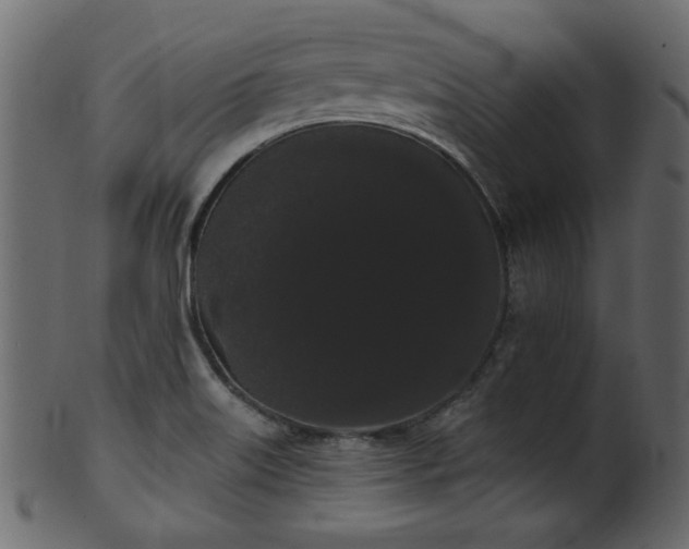 X0000101981515200807181113