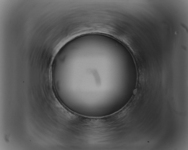 X0000101981516200807181113