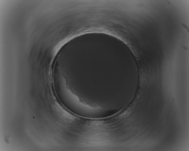 X0000101981519200807181113