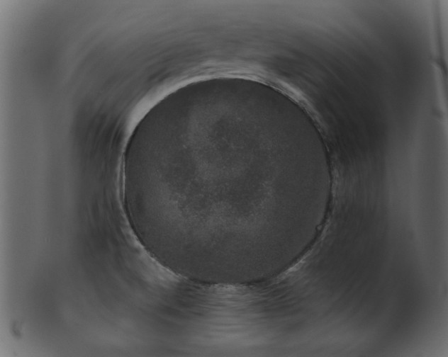 X0000101981520200807181113