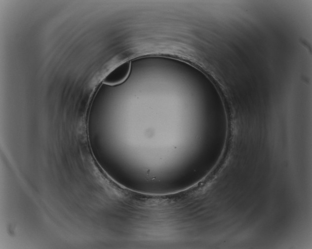 X0000101981521200807181113