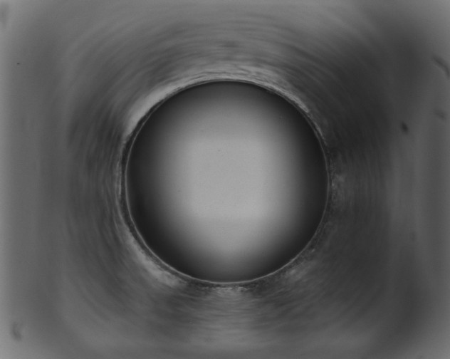 X0000101981523200807181113