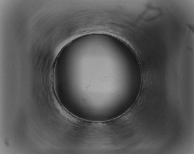 X0000101981526200807181113