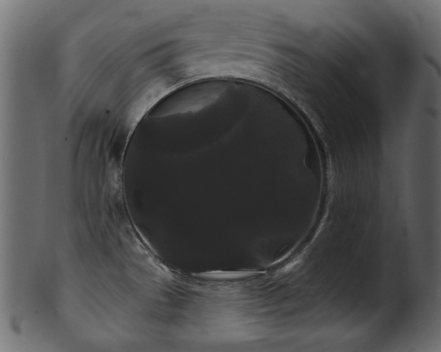 X0000101981529200807181113