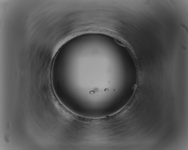 X0000101981530200807181113