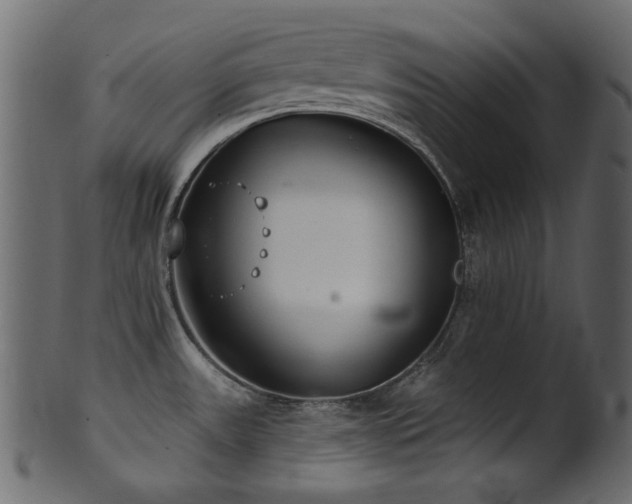 X0000101981531200807181113