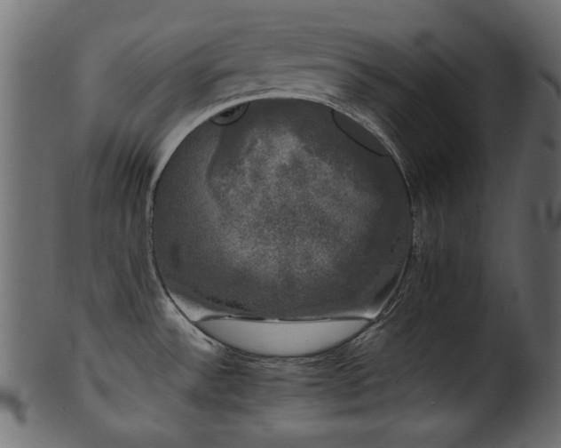 X0000101981532200807181113