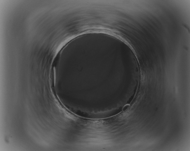 X0000101981533200807181113