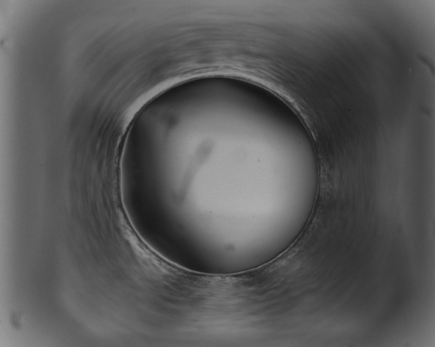 X0000101981534200807181113