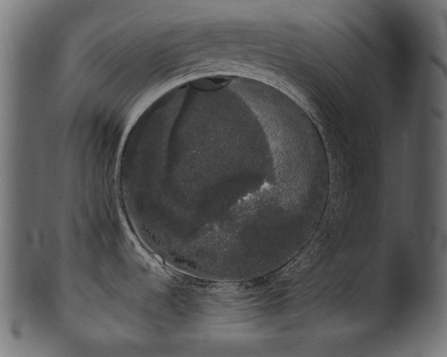 X0000101981536200807181113