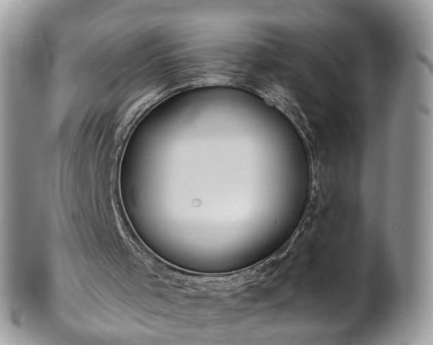 X0000101980001200807251244