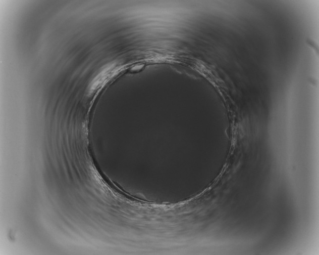 X0000101980002200807251244