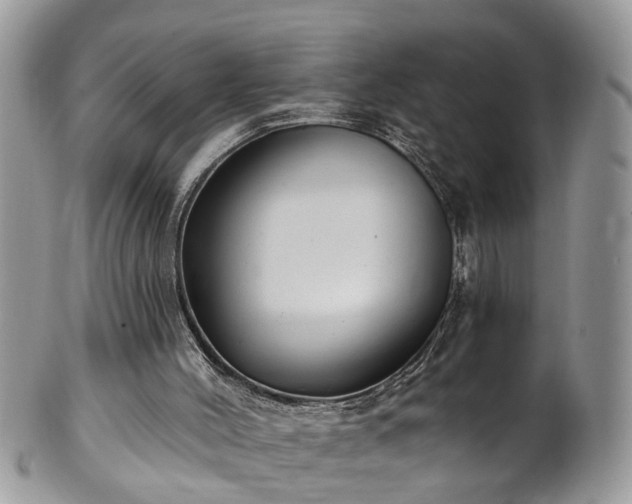 X0000101980004200807251244