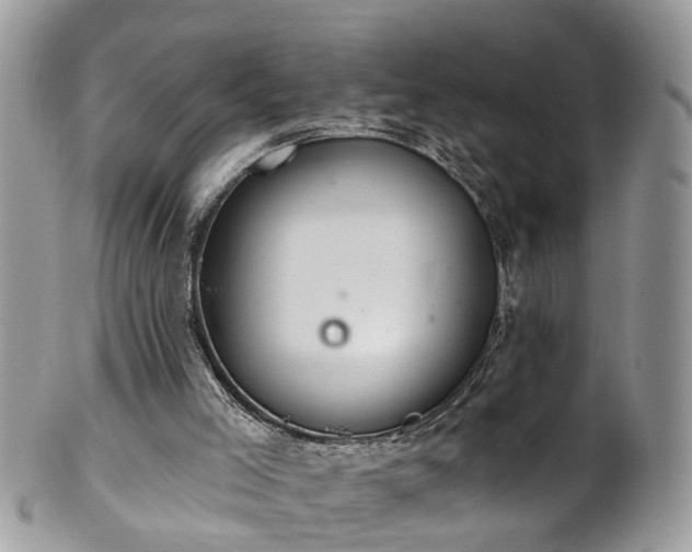 X0000101980005200807251244