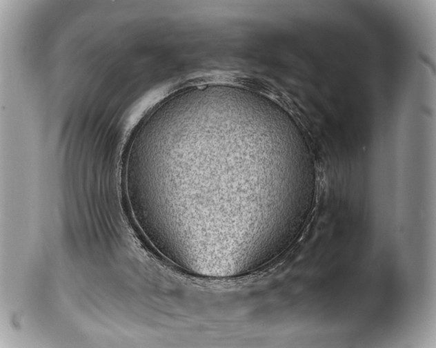 X0000101980006200807251244