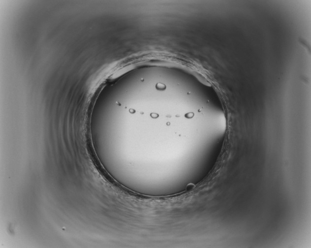 X0000101980007200807251244