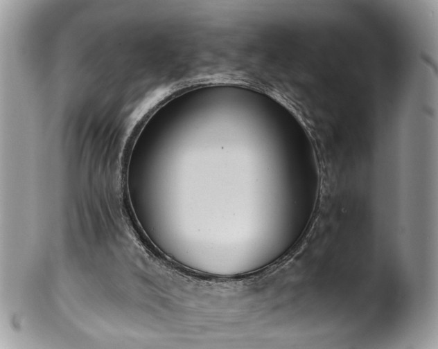 X0000101980008200807251244