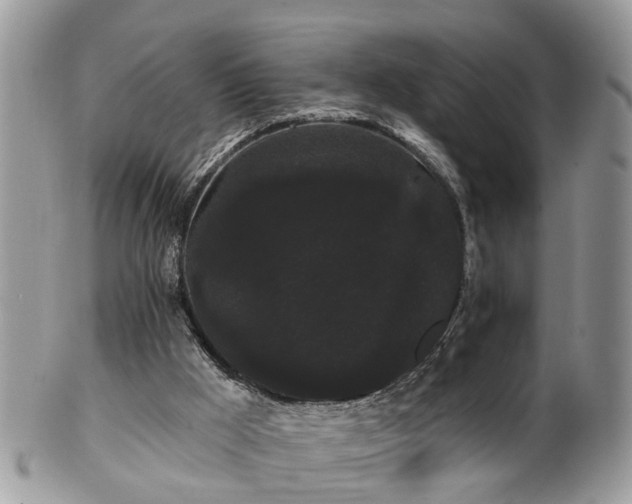 X0000101980009200807251244