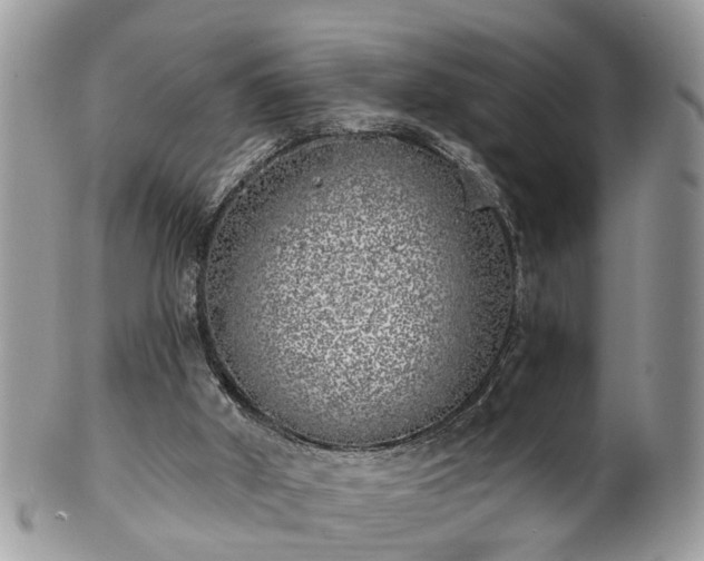 X0000101980010200807251244