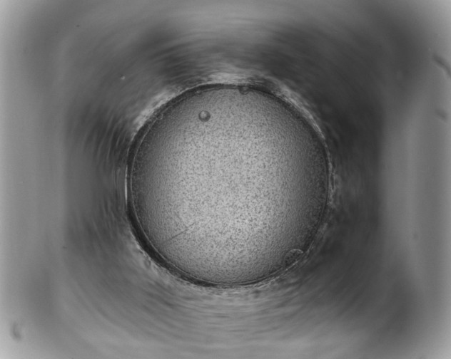 X0000101980011200807251244