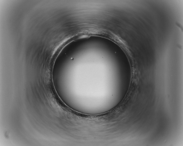 X0000101980012200807251244