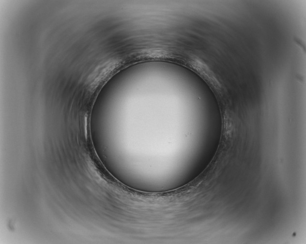 X0000101980014200807251244