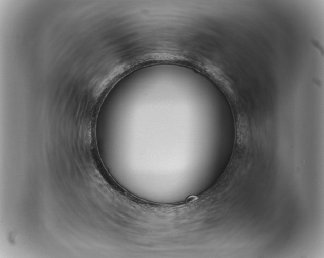 X0000101980015200807251244