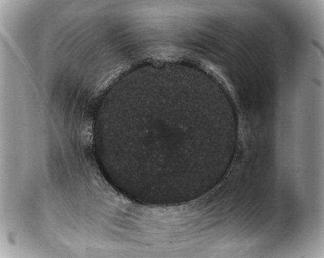 X0000101980017200807251244