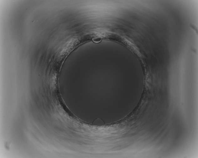 X0000101980018200807251244