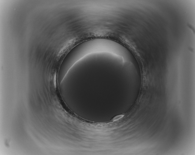 X0000101980019200807251244