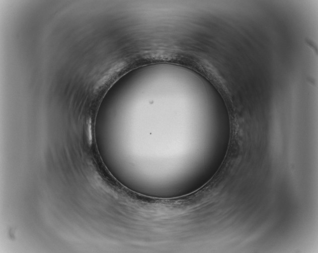 X0000101980020200807251244