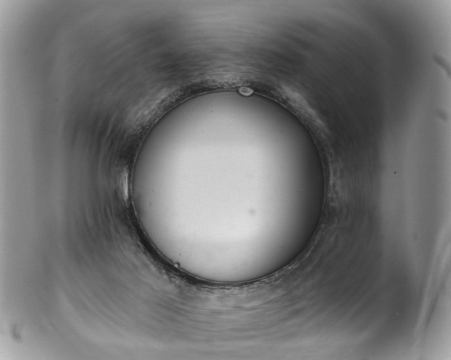 X0000101980021200807251244