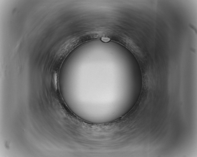 X0000101980022200807251244