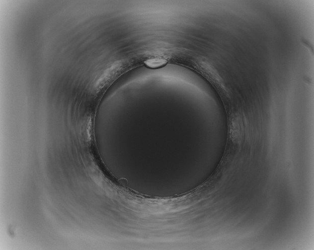 X0000101980023200807251244