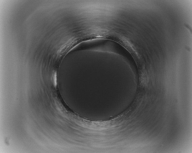 X0000101980027200807251244