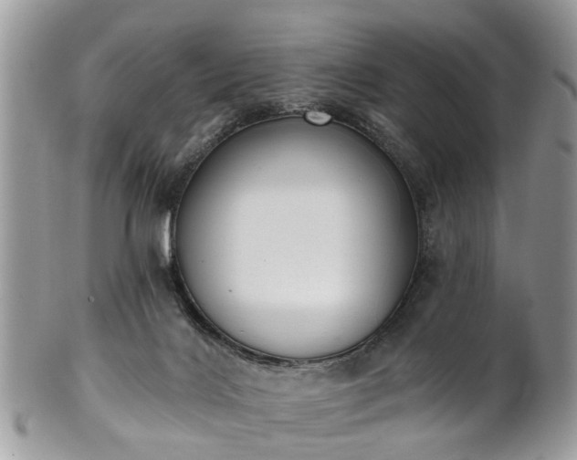 X0000101980028200807251244